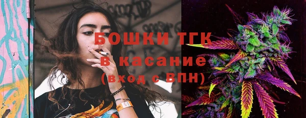 дживик Баксан