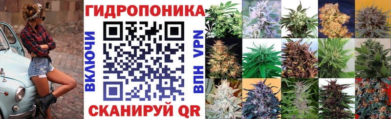 купить  сайты  Томмот  МАРИХУАНА тримм 